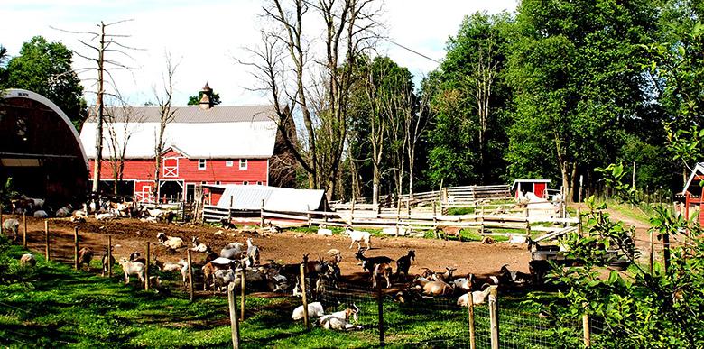 Nettle Meadow Creamery
