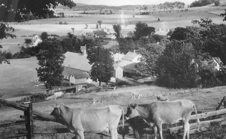 5 Generations Farm